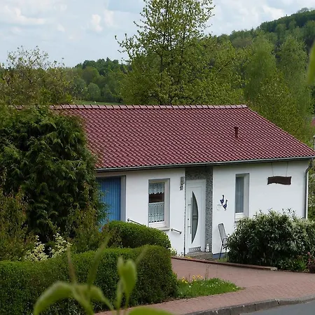 Dom wakacyjny Ferienhaus Am Ganserasen *