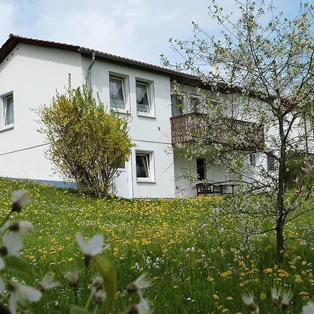 Dom wakacyjny Ferienhaus Am Ganserasen Oberaula